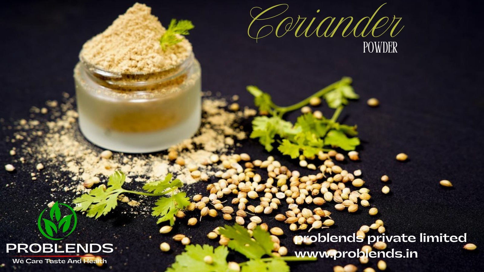 Coriander (Cilantro / Chinese Parsley)