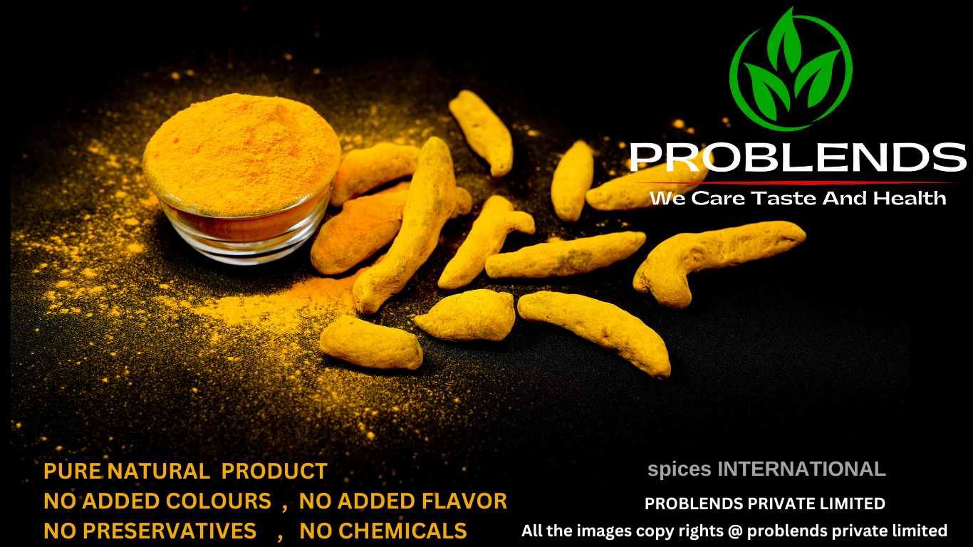 Curcuma Longa Turmeric Export Batch